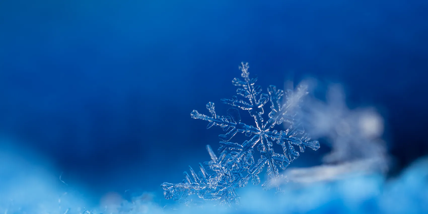 ccce95b32b30d092db381c0774344f7d