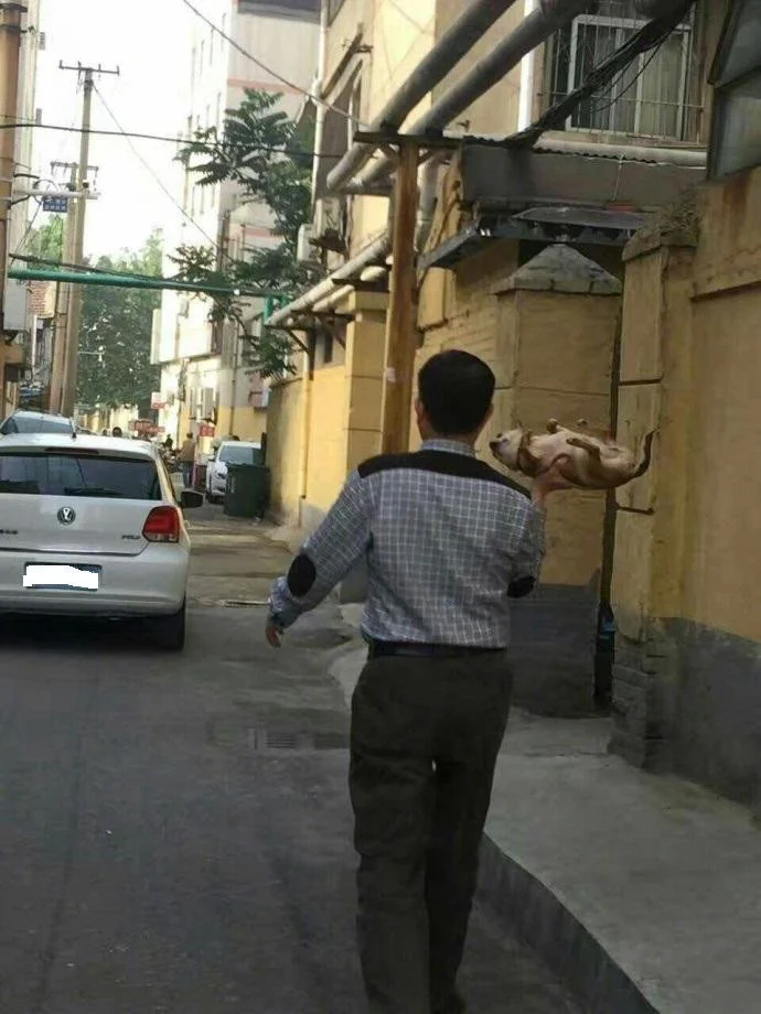 39ad034db29c8733eabbb0a7165b0f77