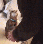 90eef340gw1f3xlxcbob1g2046048u0x