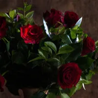 c3fbcf027da73cc5094078f03c60d13c
