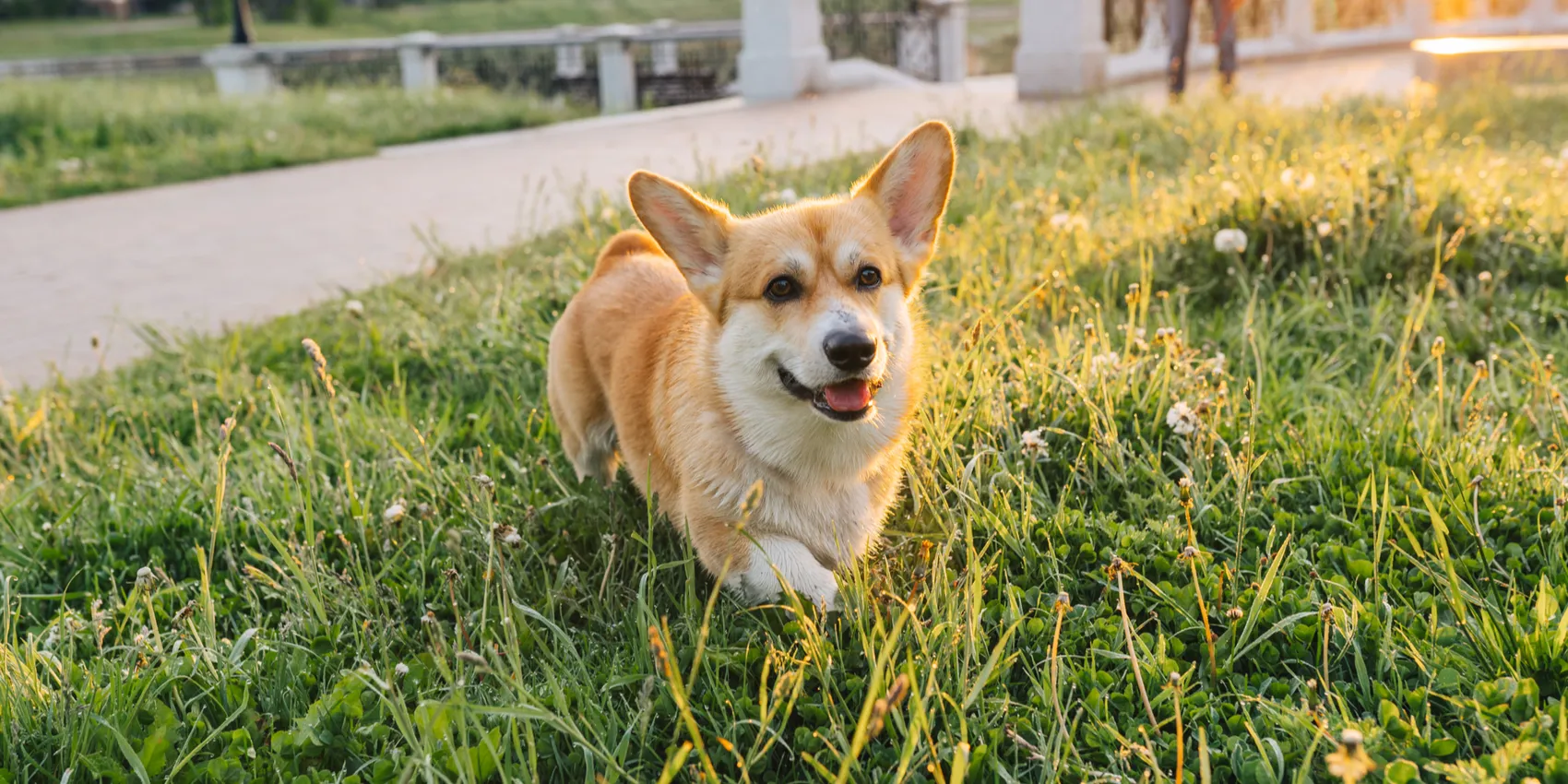 c7872724fcf69fdceda330f4ec28fdc0