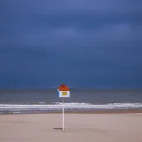 FvpEye0jPeT0SQQCbBCmqDWXymZd