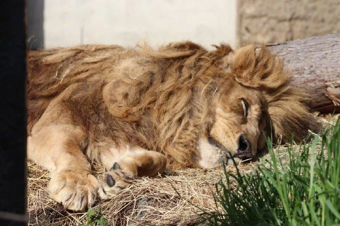 1ece44a3580ca4dae18184d84d94f996