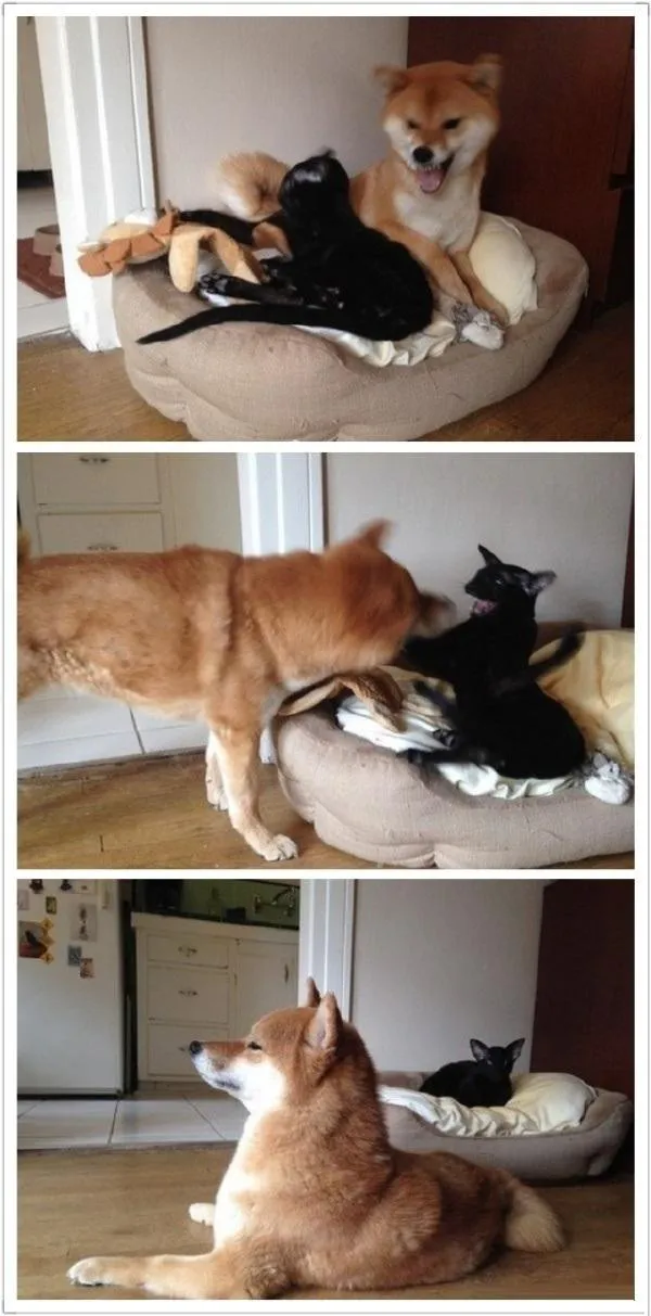 8b5ec8d52c1ff9693eb79a6679a13d6d