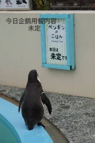 d239b283663ca914b7374ad8b8b1576e