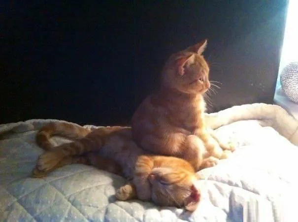 0a609b397b261040ff895c935a42157f