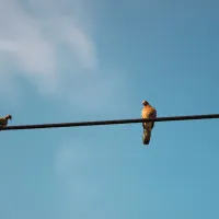 FtRbXBwBrN3ISZNTYuteBfsbshSy
