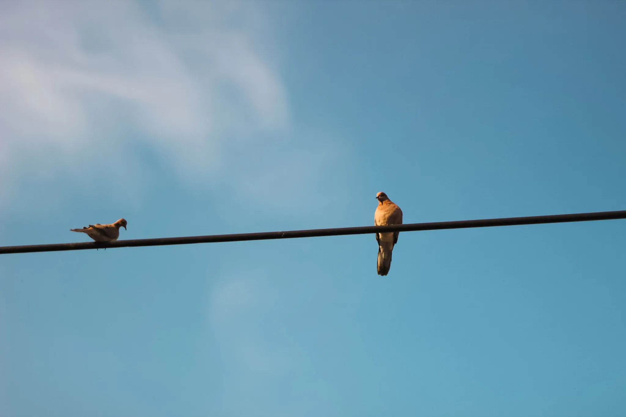 FtRbXBwBrN3ISZNTYuteBfsbshSy