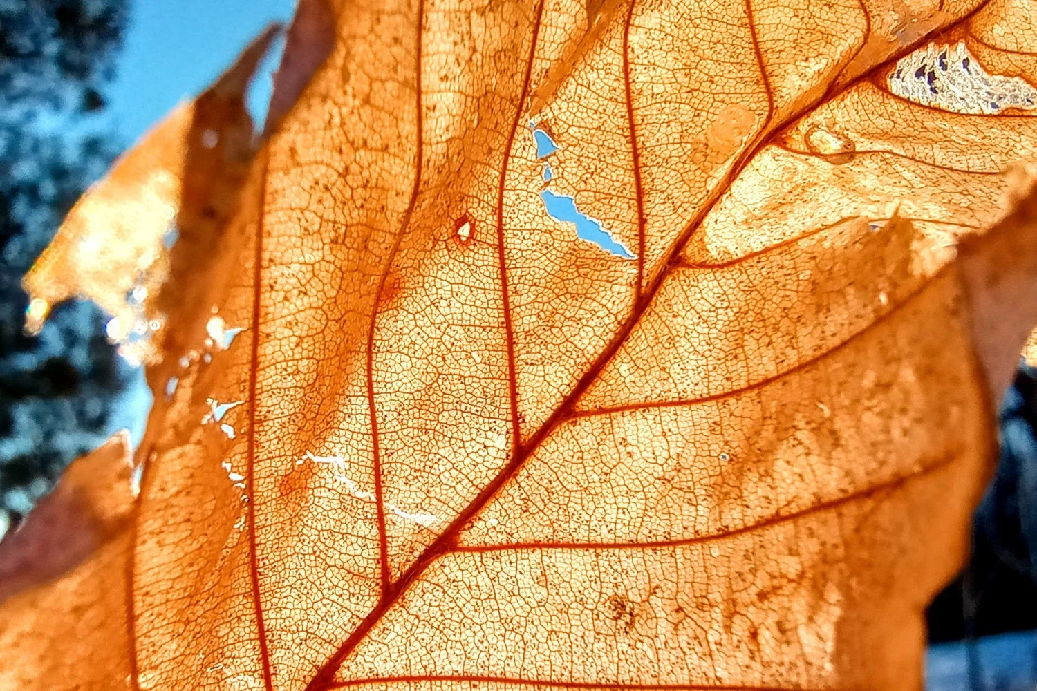 FoRwJteYzDnJrCR5CKtjdAf480iE