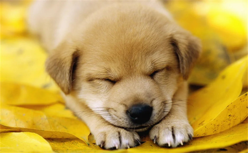 b42419f347ac7f02d5c8a8fa27a0b4b0