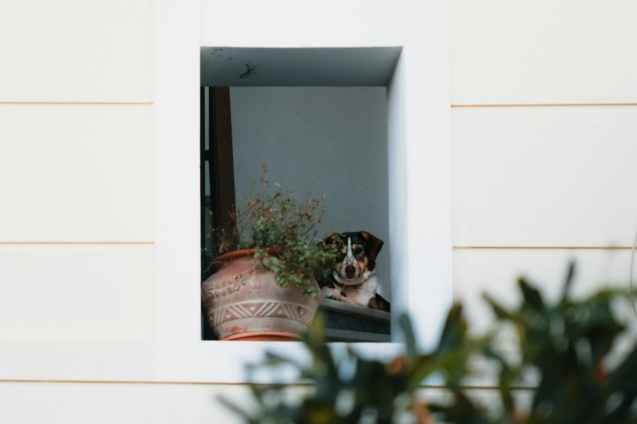 Fk60MKFqpicBHoe2CTNItMk6H47T