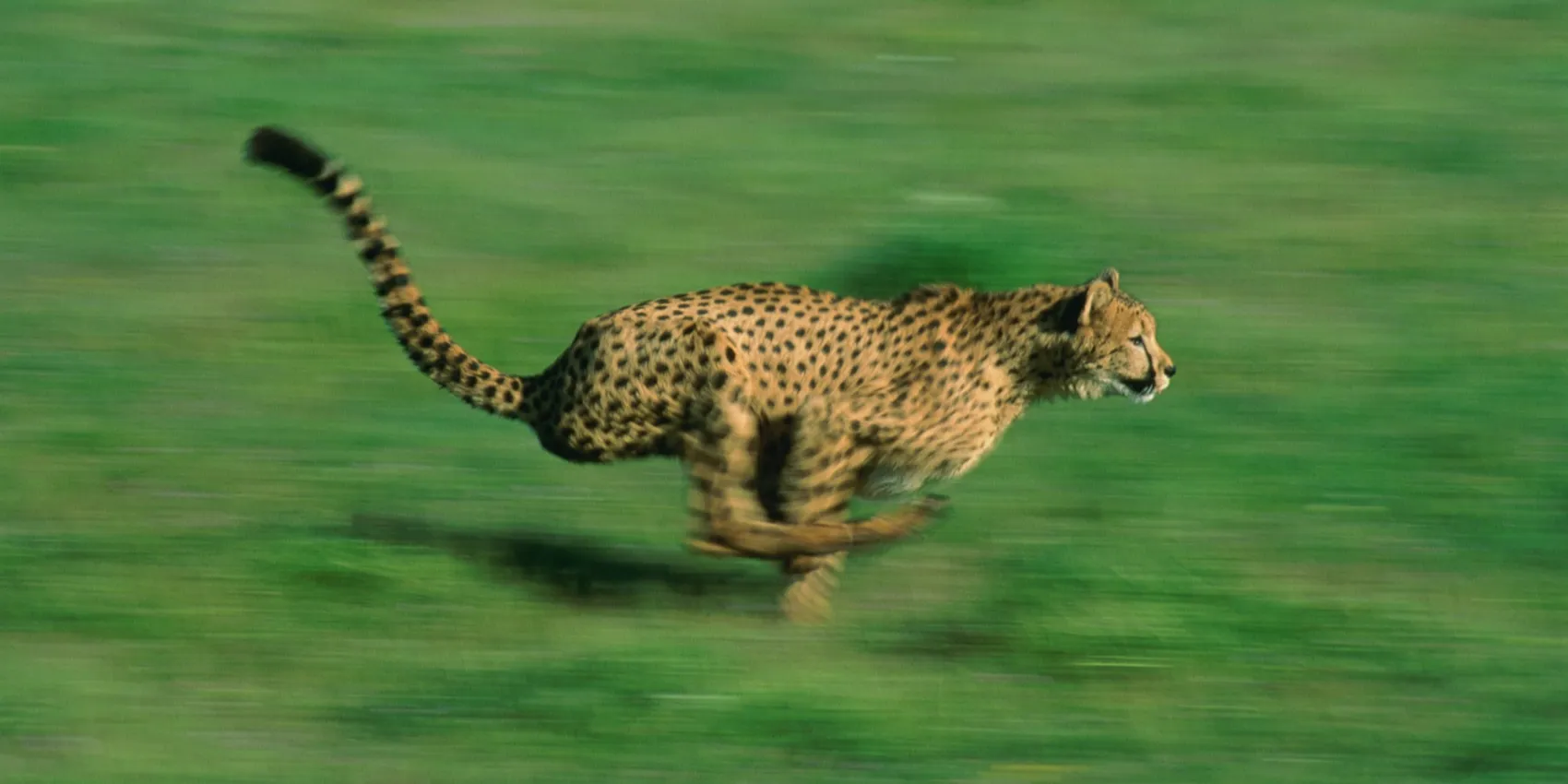 3085aaabe2e7772dc78514fe6e30efd8