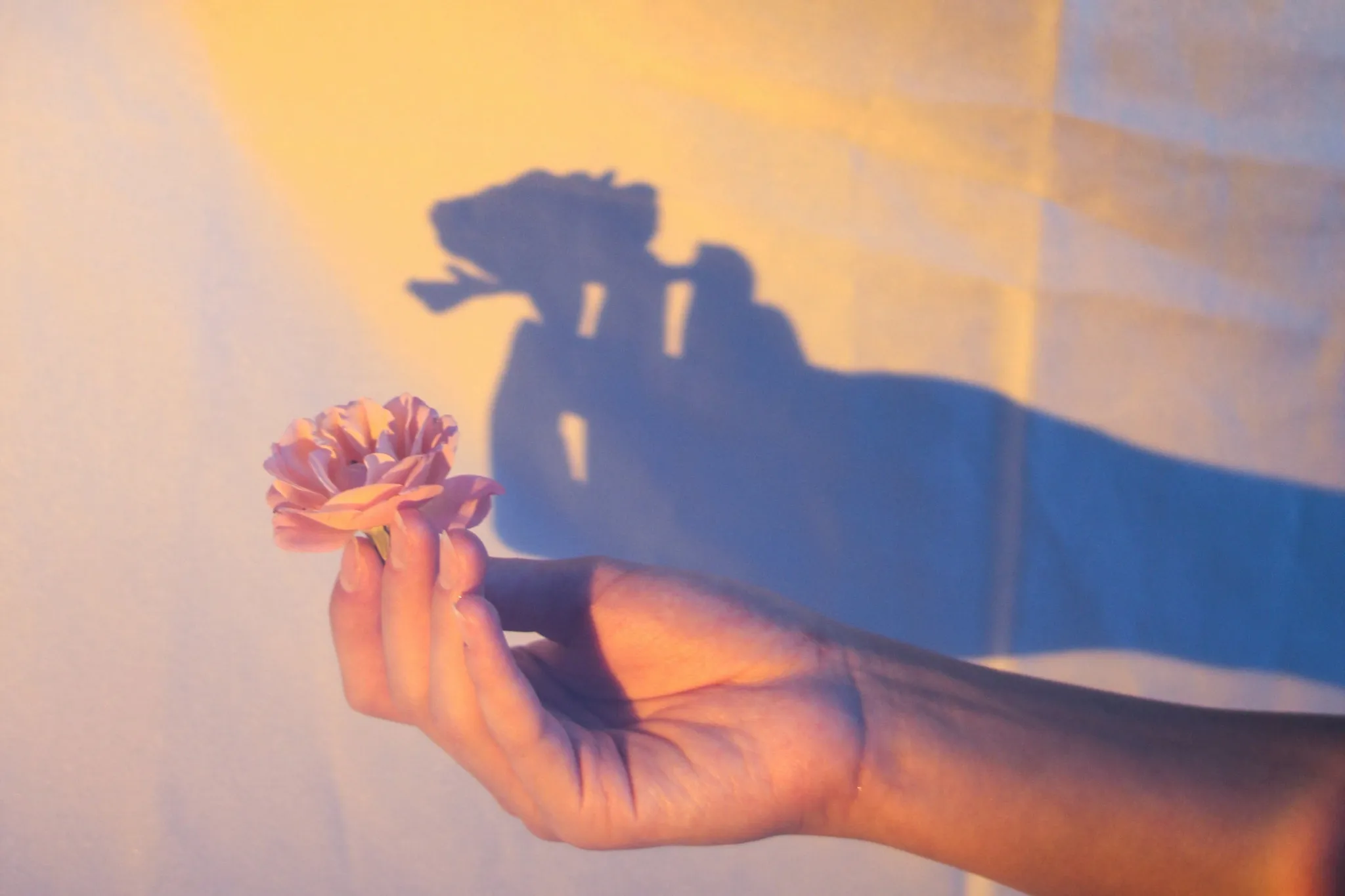 FhgC5UhU0wBLTkNMsY-3eoEL80a-