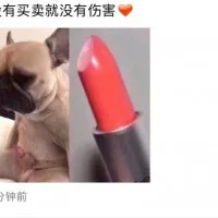 49465757d5673051e20558fd0cbf6382