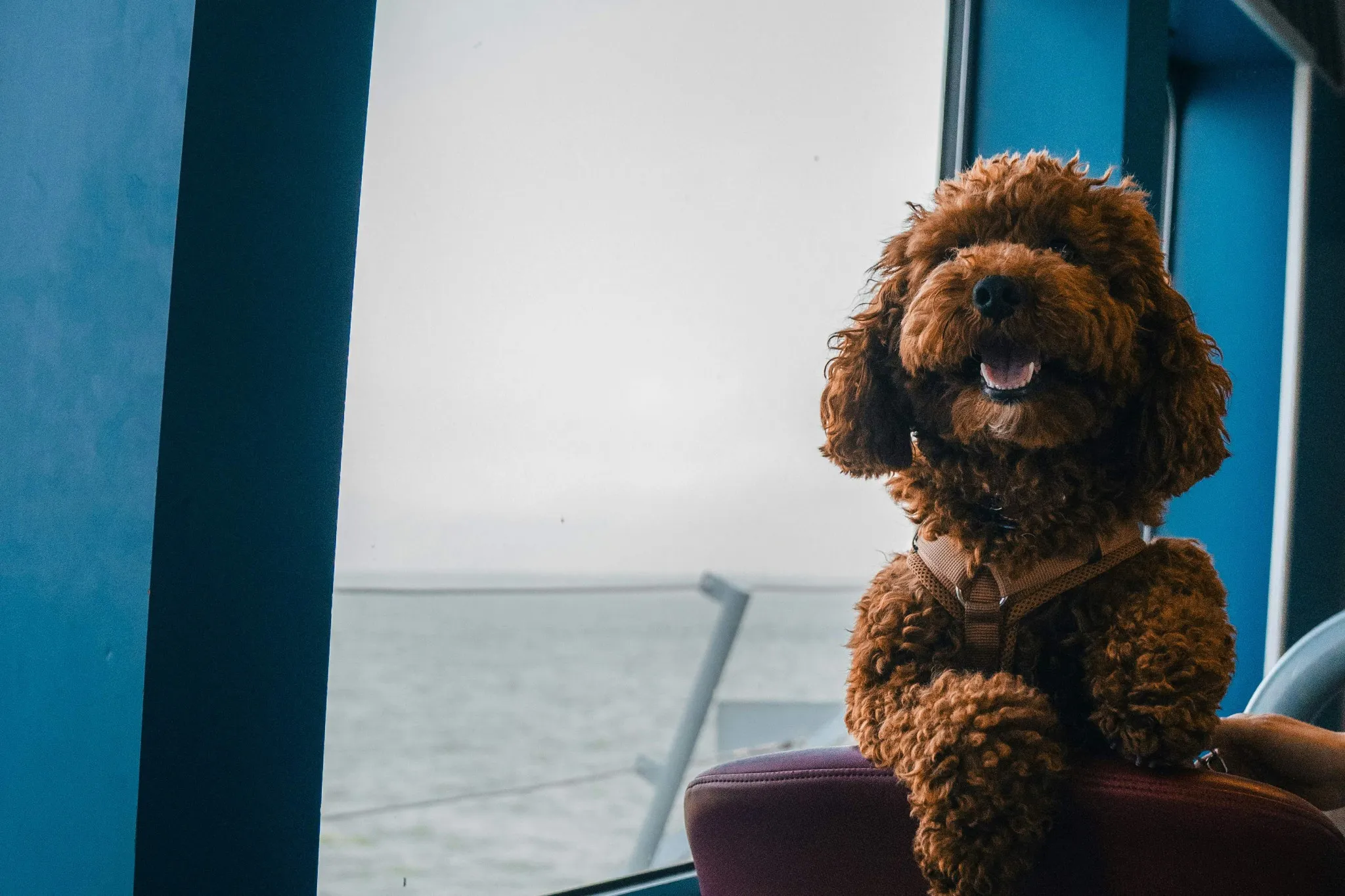 FnCZLW-fXXQQ2to8YD7XrRSAXSV8