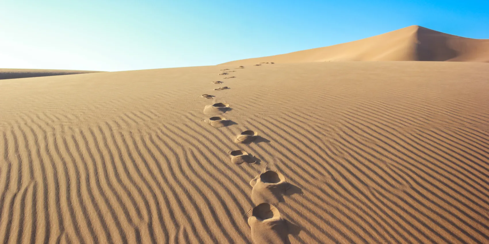 a4bce2f1ebb829cb1dd96007af606c11