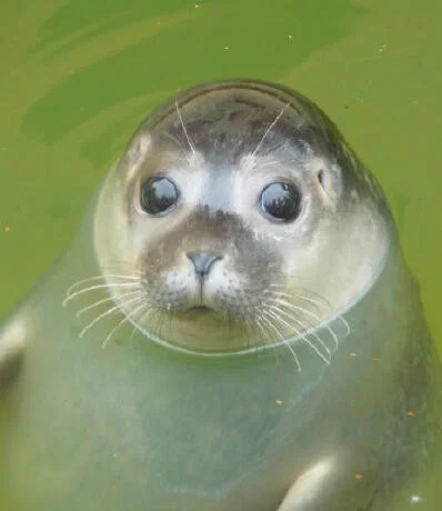 822f01bce59e79b112d8788d2be068da