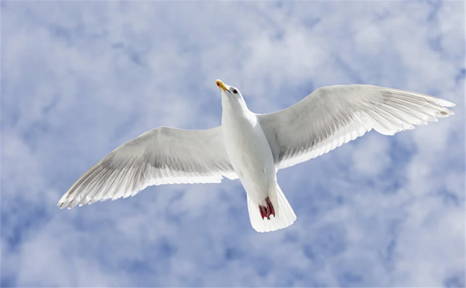 0e07c7a1c33d03bb1d0cf334a63d5b02