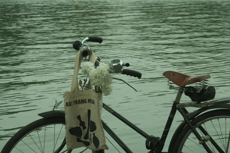 FruaqqFjxxvke0MfAAST9iNpwq4x