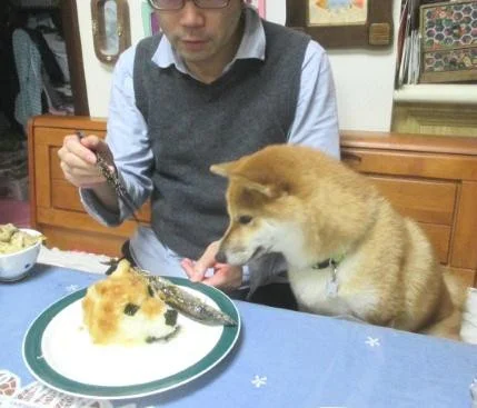 dfca38cb916473f583e7f19368f72361