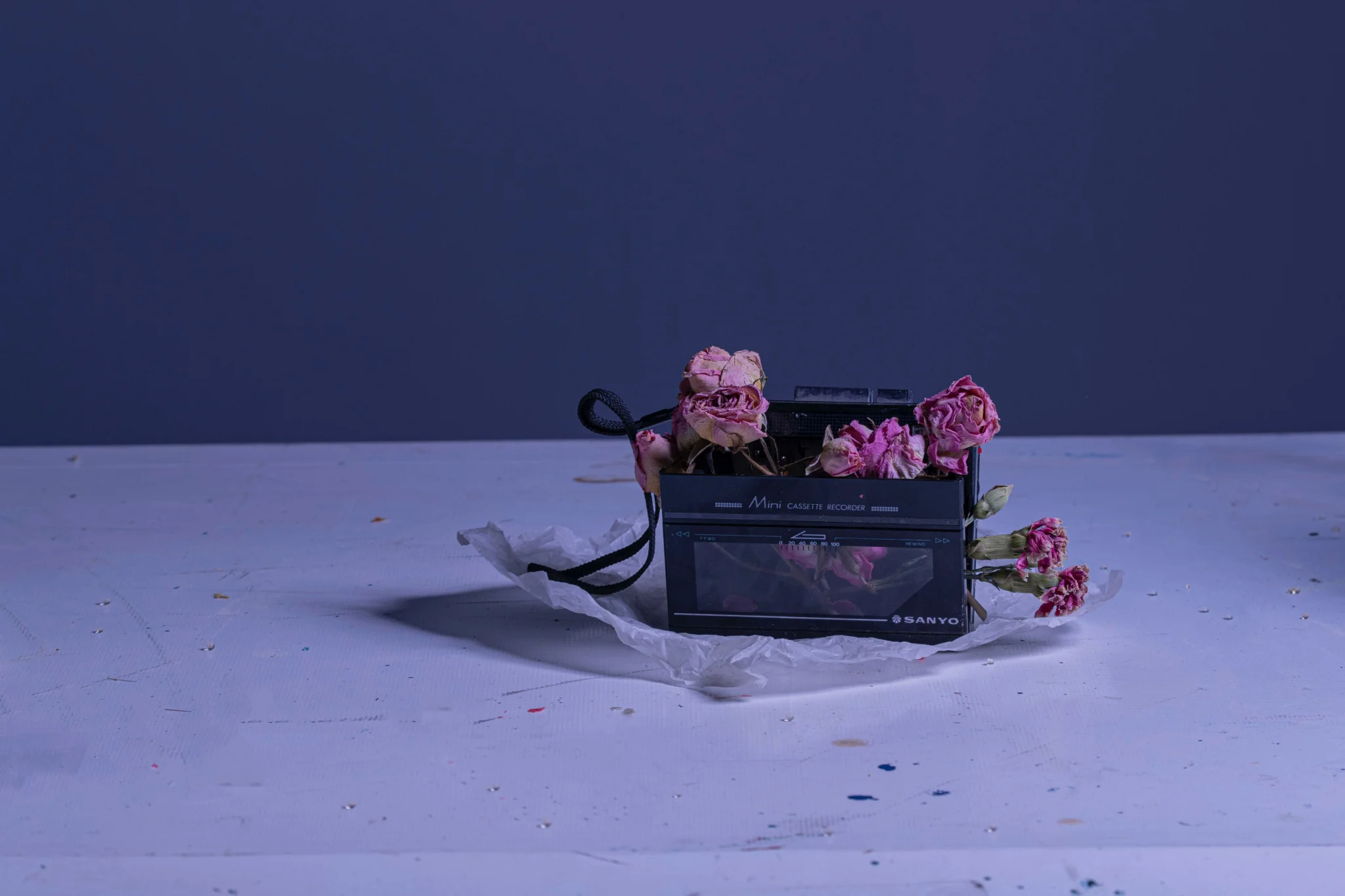 FjLCn4xuXNNyWf2b_EuYz7UGUW5i