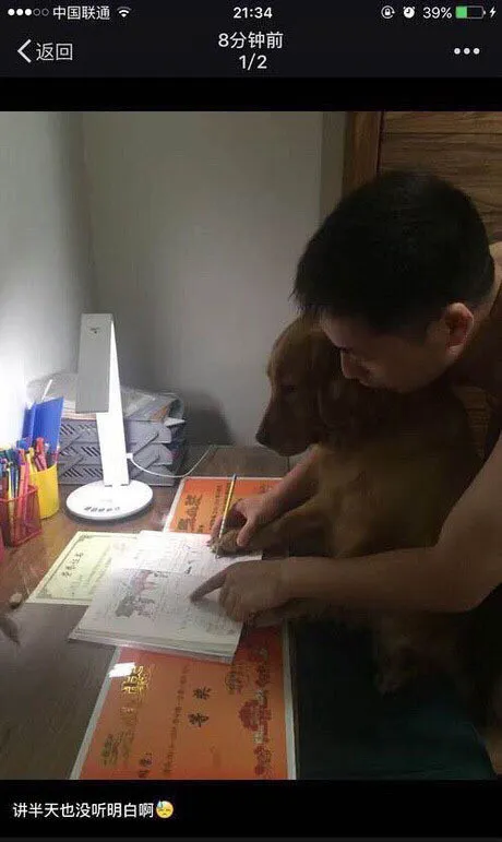 443b8d972825703ff32ff59471531a4d