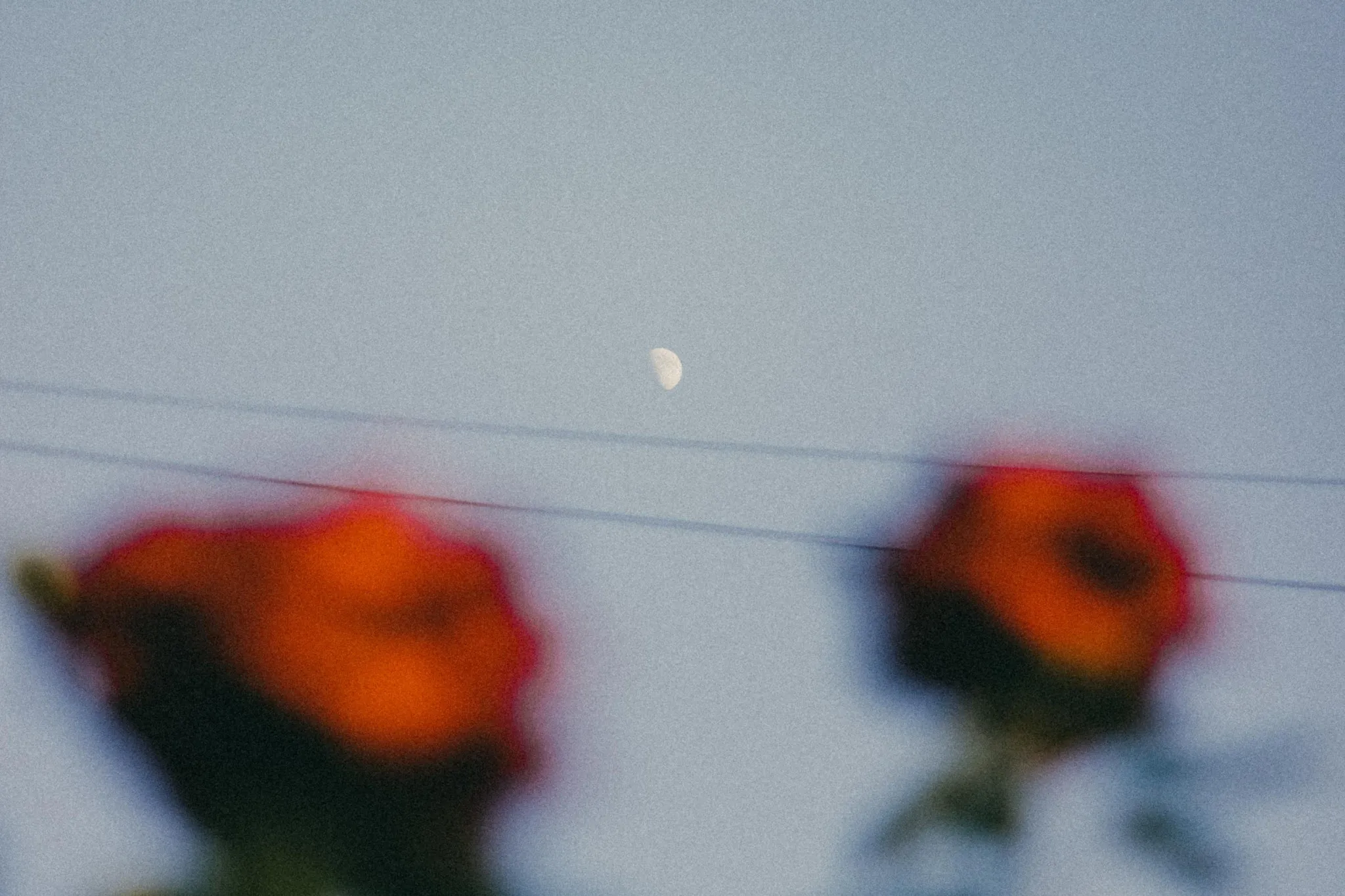 FhWbDh0n4l_9q3G0pXKuJwF2AbaC