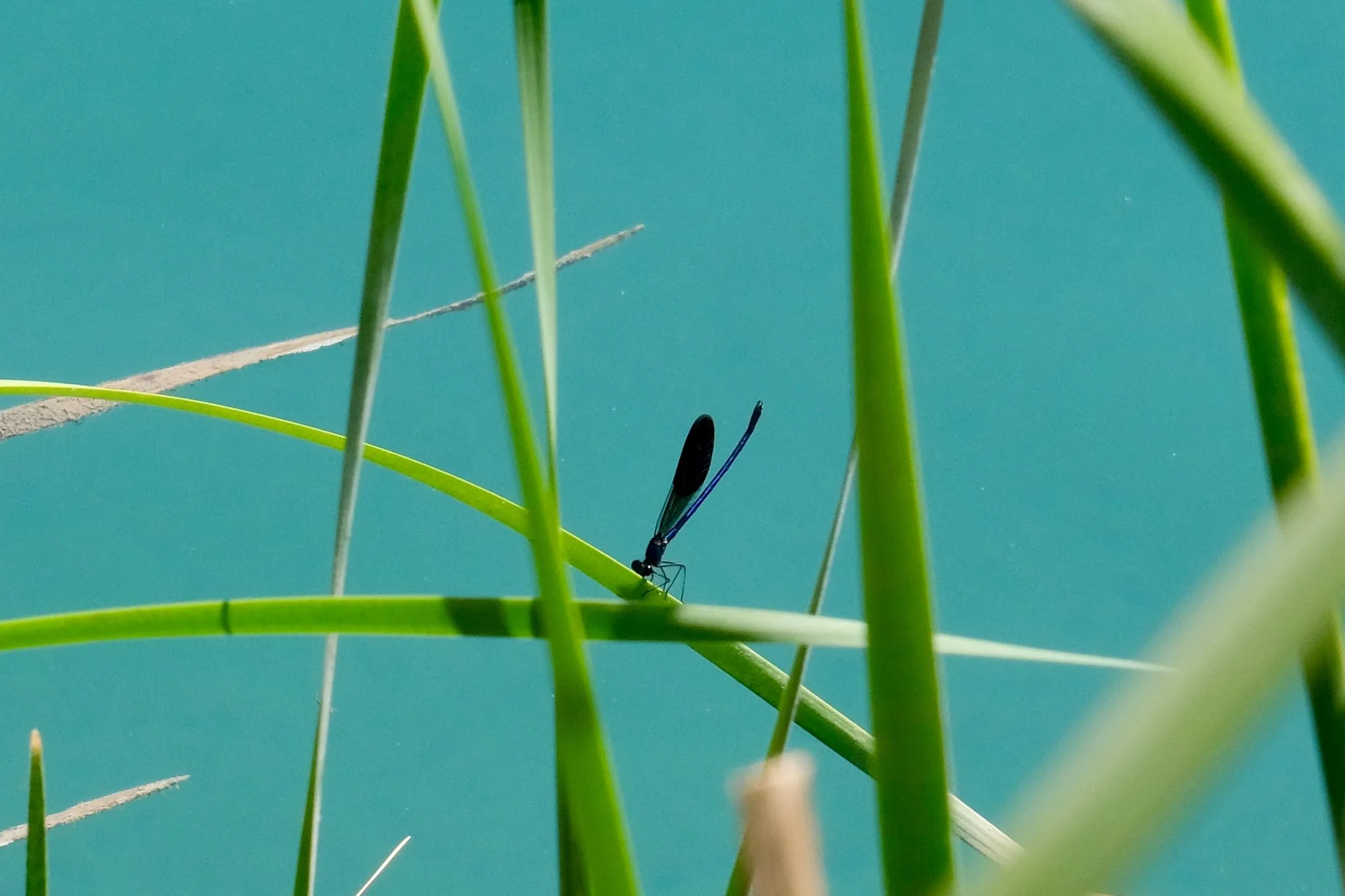 FgjnGPd_XSDyRYU_xxjGnOL6HUbS