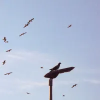 Fnx8uVPQ8fVg00aOmVMXSLtPQ15u