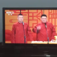 15493439313-2