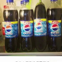 15295569864