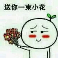51bf632ff88581eec853404b3f4de1f1