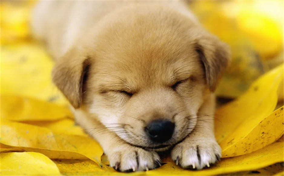 b42419f347ac7f02d5c8a8fa27a0b4b0