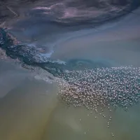 00528c55b9d5617a75f1d0672568128b