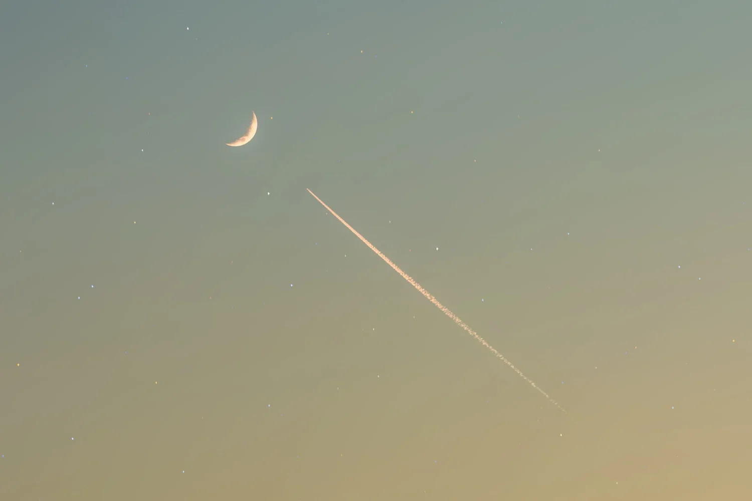 Fhn7KPiu33-u_mtAX3UHSEMA9sNy