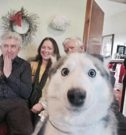 8b17c65e4678cd4927dfc3240f144620