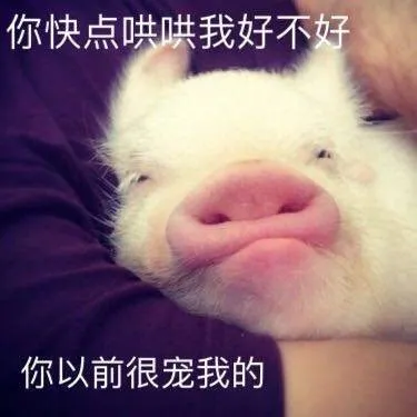 d3737b66981c565799afd4e2802f6f79