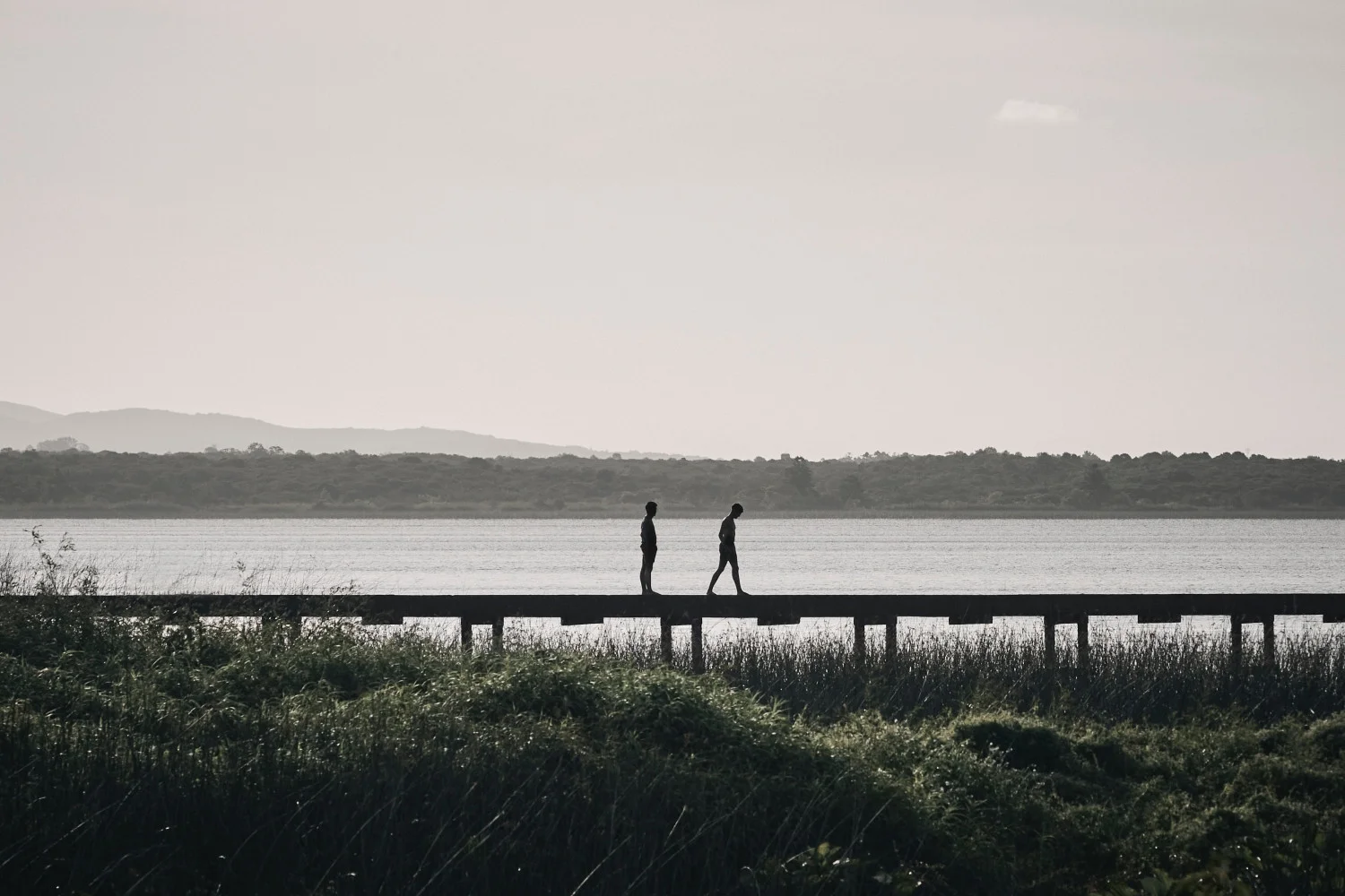 FpJ-IwDJ6RVslcXSL3ybLa4AsXIa