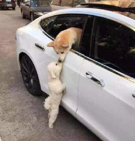 2701ff82d89d2a9a7ff7851ce6f149a5