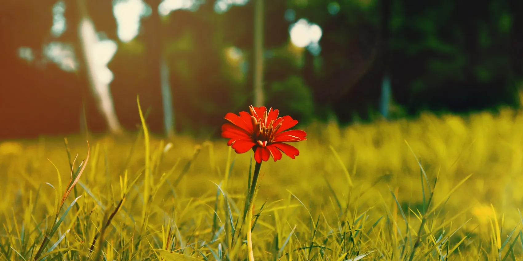 8af8f8b0de1e802993865969fda071a2