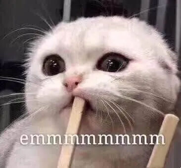 d9ee6a80e8538dd0cdd1d24bb33a2f09