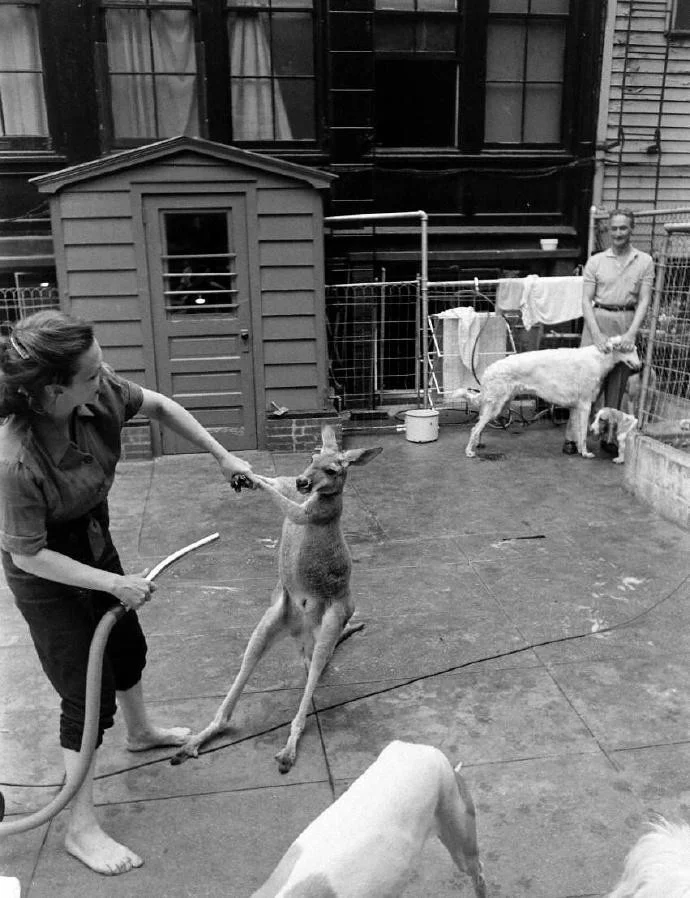 b1e5de35c62ef50b09b542997f44aced