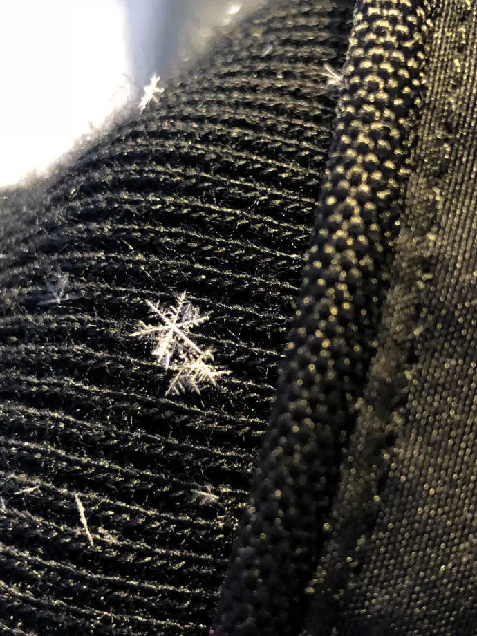 317f6bb02b6cb694c75c62c1af8d173c