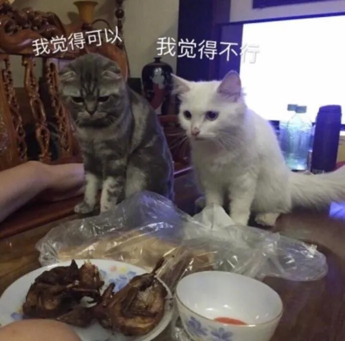 d3fb86d83d9869ae7672cb121081ea09