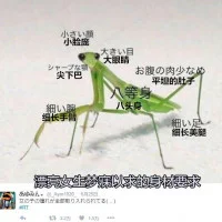 76003f23847a715a16b9323fecc6dfb4