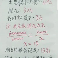 15502992013