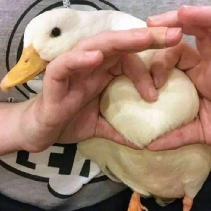 0eacf5ba2b839ef76a7a80a989c77446