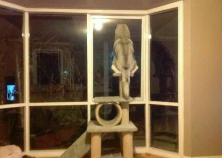 3f7c49a1a456bed0a1942e716d6193b6