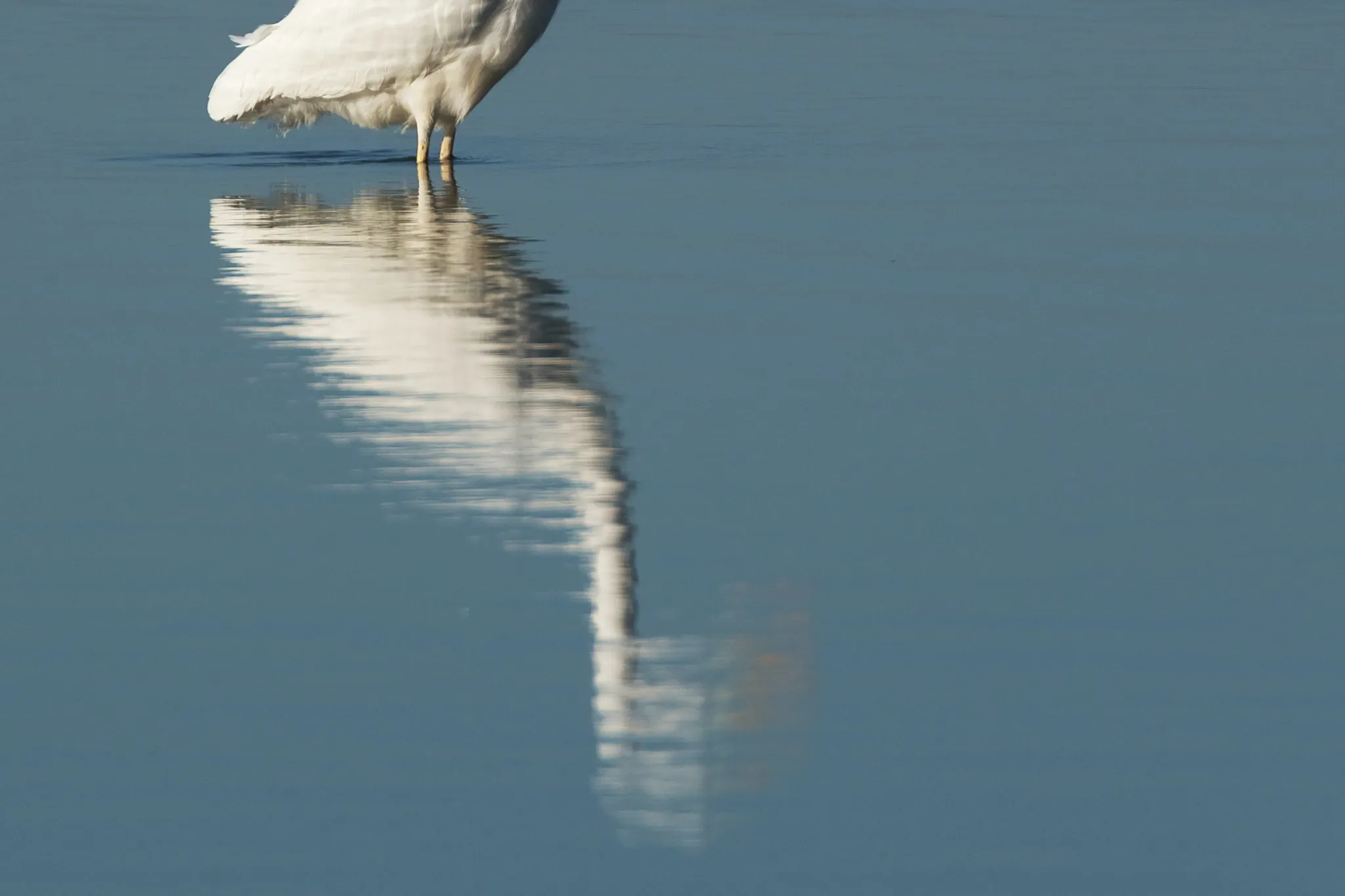 FvDGLrFiprxd1wv-PcMa_j7k-dlh