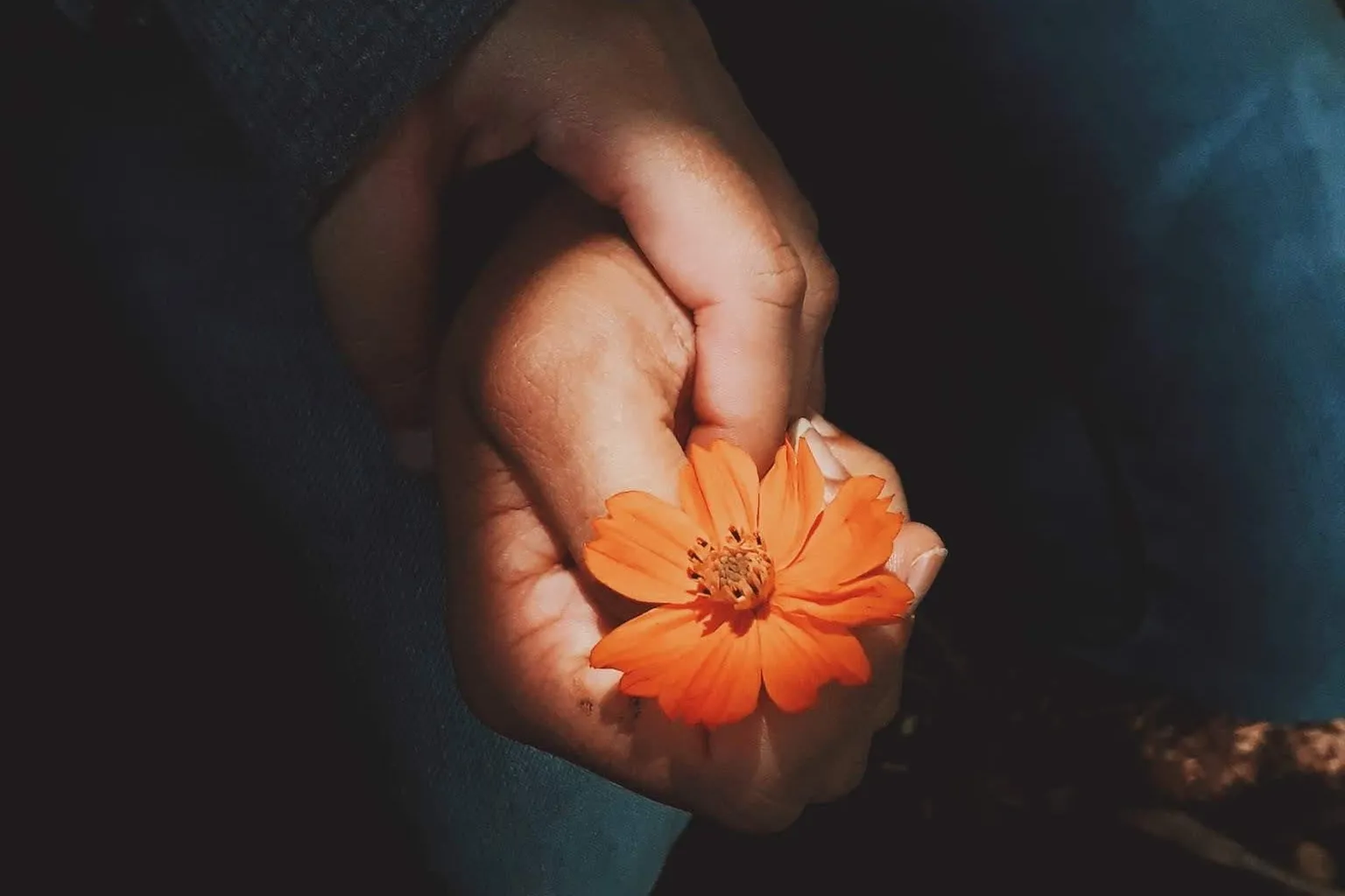 FuxepVOH_dRFSLNlju5nAQNEl60T